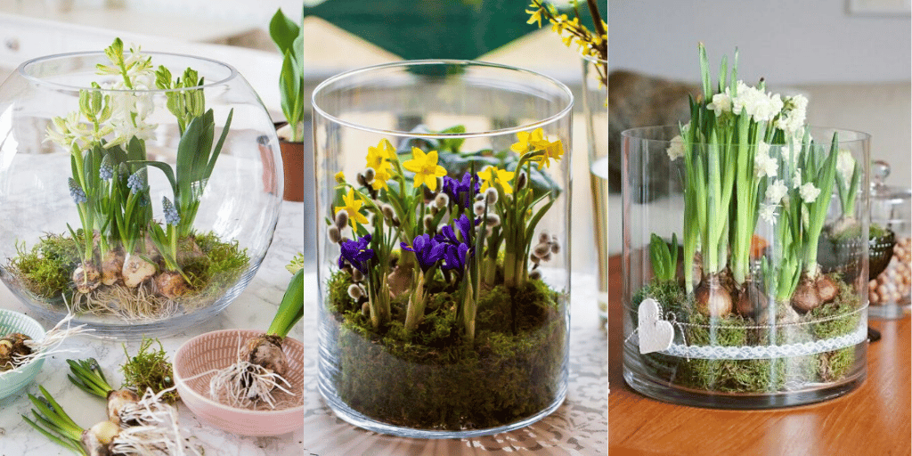 dekoracje z szklanych słojach na wiosnę kwiaty posadzone w szkle