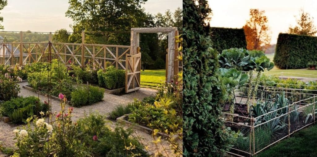 ogród z grządkami w ziemi ładny i elegancki jak zaprojektować ogród 